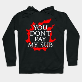 You don't pay my sub - Funny gift idea for FF14 MMORPG fan Hoodie